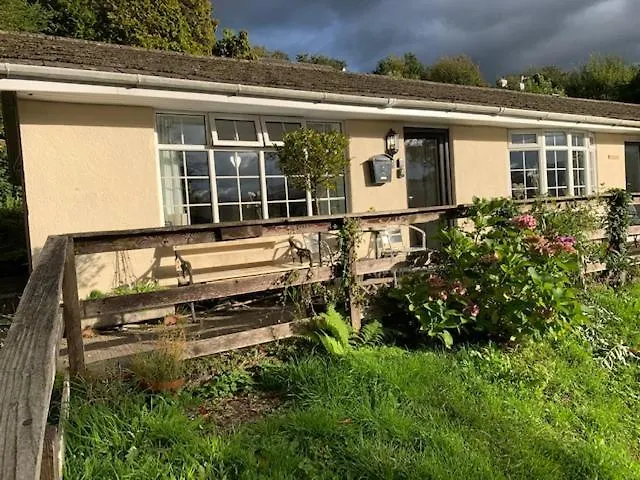 The Lady Of The Apartamento