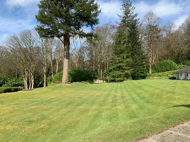 The Lady Of The Apartamento Windermere