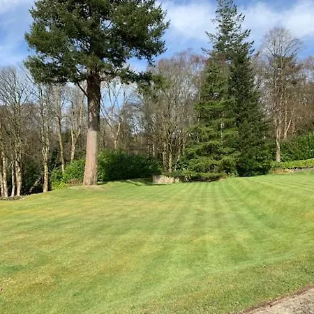 The Lady Of The Apartment Windermere